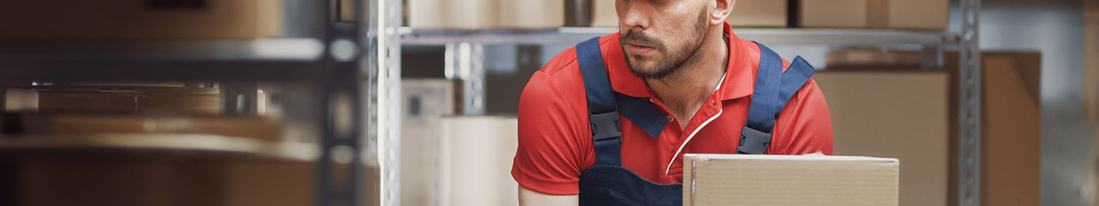 subCategory.desktopAsset.altText