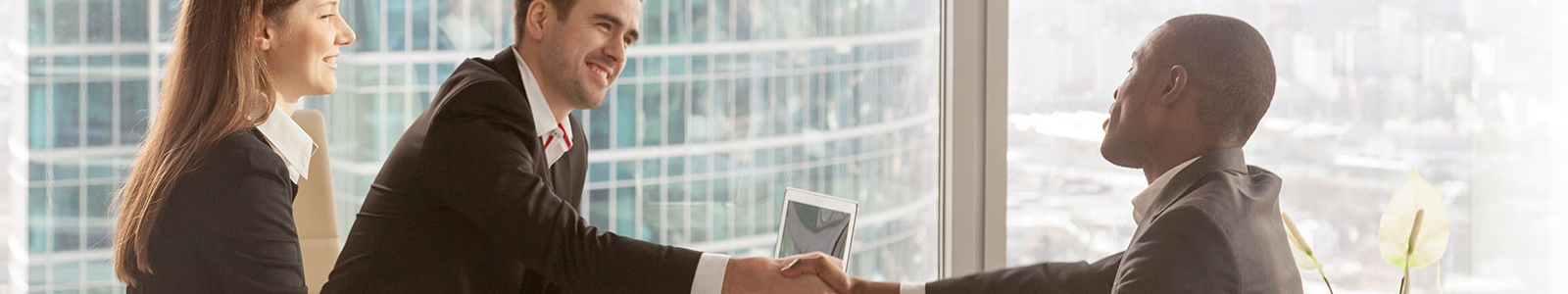 subCategory.desktopAsset.altText