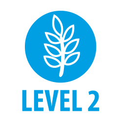 level 2 special diets qualification