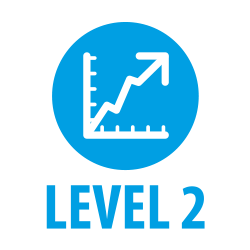 level 2 business improvements qualification