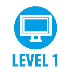 level 1 it user skills diploma