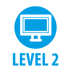 level 2 it user skills qualification