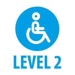 level 2 care diploma