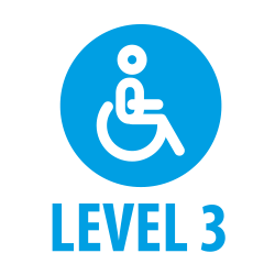 level 3 healthcare support