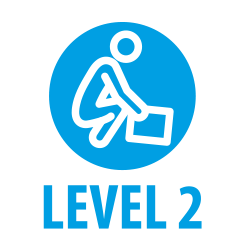 level 2 moving people safely